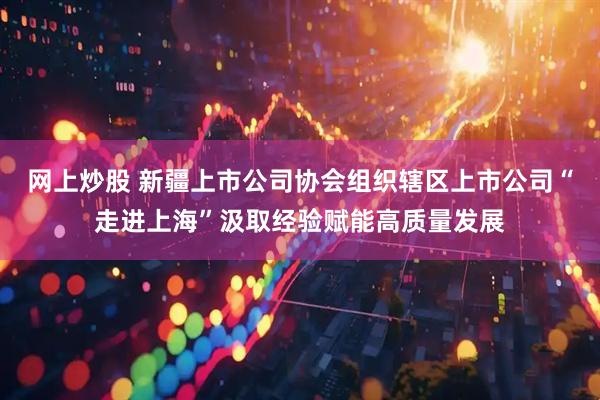 网上炒股 新疆上市公司协会组织辖区上市公司“走进上海”汲取经验赋能高质量发展