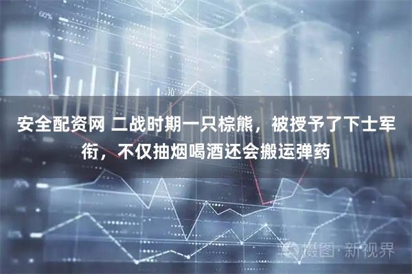 安全配资网 二战时期一只棕熊，被授予了下士军衔，不仅抽烟喝酒还会搬运弹药